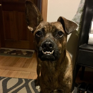 Fundraising Page: Erin Murphy